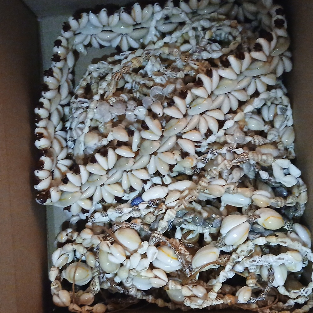 ♡Big Lot Of Hawaiian Shell Necklaces♡